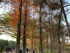 -东莞植物园
