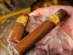 -Hi City·城市之巅