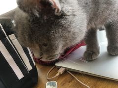 -平行世界·猫咖(首经贸店)