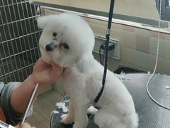 -宠颐生宠物医院·骨外科·犬猫全科诊疗中心(池州店)