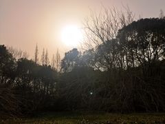 -同里国家湿地公园