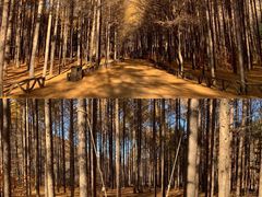 -龙道沟景区