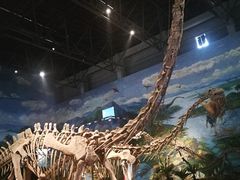 -自贡恐龙博物馆