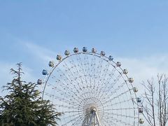 -琴岛之星摩天轮