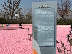 -上海山野camping·户外天幕烧烤·团建拓展营地