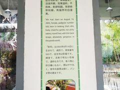 -苏州太湖国家湿地公园