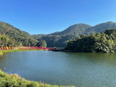 -广州市石门国家森林公园