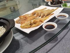 -新锦鸿(演达店)