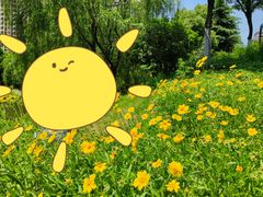 -四里河滨水生态公园