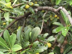 -宝岩生态观光园