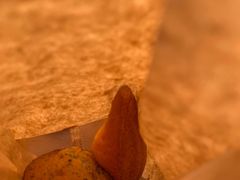 海盐伯爵茶玛德琳-Palette·花籁咖啡烘焙