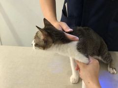 -拜鲁耶动物诊疗中心·宠家动物医院