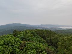 -水濂山森林公园