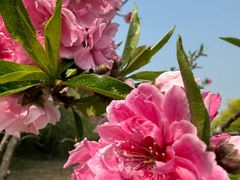 -白水寺森林公园