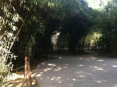 -西苑公园