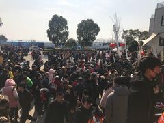 -苏州海洋馆