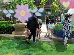 -康莱德酒店·美庭自助餐厅