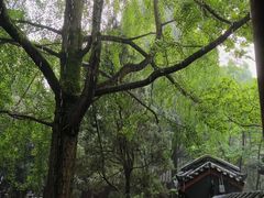 -成都武侯祠博物馆