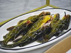 -小厨家松花江.鲜鱼坊(天麻滋补鱼汤店)