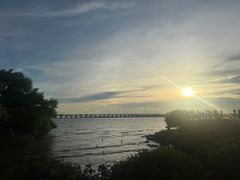 -宝安西湾红树林湿地公园