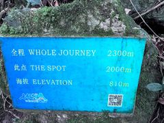 -七仙岭温泉国家森林公园