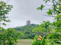 -清溪大王山森林公园