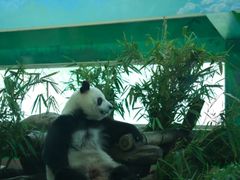 -广州动物园