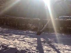 -中旅松花湖滑雪场