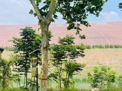 -黄河小浪底水利枢纽风景区