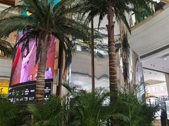 -长峰假日酒店·佛罗伦萨西餐厅