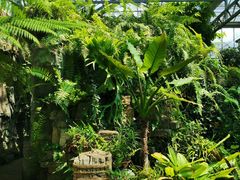 -国家植物园南园