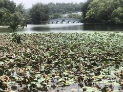 -星湖旅游景区七星岩