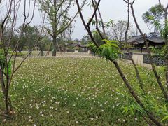 -阜阳富力万达嘉华酒店·美食汇自助餐厅