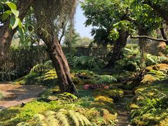 -Chom Cafe and Restaurant