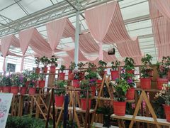 -盈香心动乐园