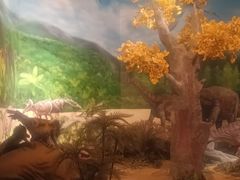 -安徽省地质博物馆