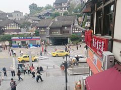 -颜氏双江清水鱼一养身火锅(磁器口店)