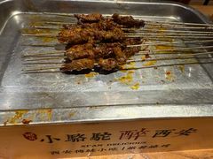 -福苗小骆驼烧烤(莲湖路店)