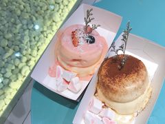 -狐狸和向日葵(北京路店)