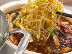 -台北楚楚园馅饼粥(虹桥南丰城店)