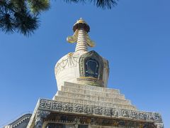 -大召无量寺
