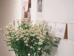 -素咫咖啡CLIFEROSE