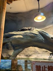 -Zoolung Zoolung动物主题公园(海信广场店)