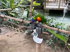 -南宫五洲植物乐园