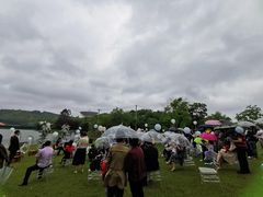 -上海佘山世茂艾美酒店