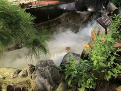 -蘇河湾·新鲁菜·泰山宴(泰山店)