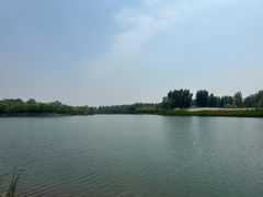-东郊湿地公园
