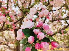 -元大都城垣遗址公园