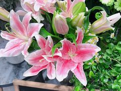 -豆豆花艺(新光天地店)
