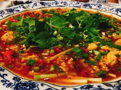 鱼蛋-飞虹鱼馆(春华路店)